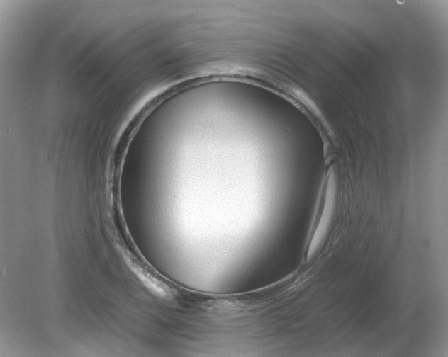 X0000079341124200611251850