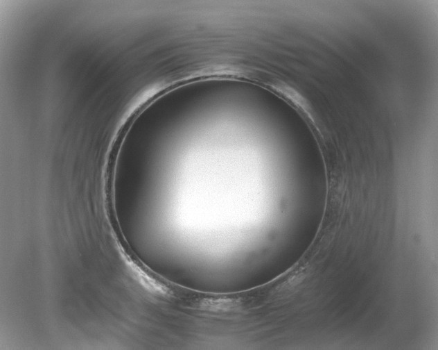 X0000079341135200611251850