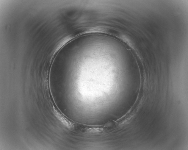 X0000079341137200611251850