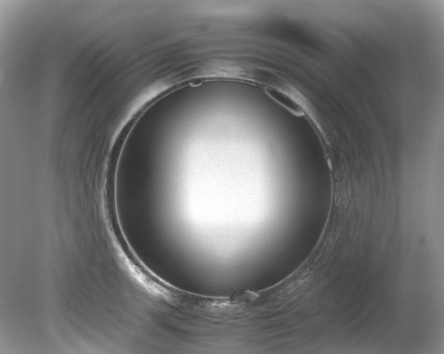 X0000079341139200611251850