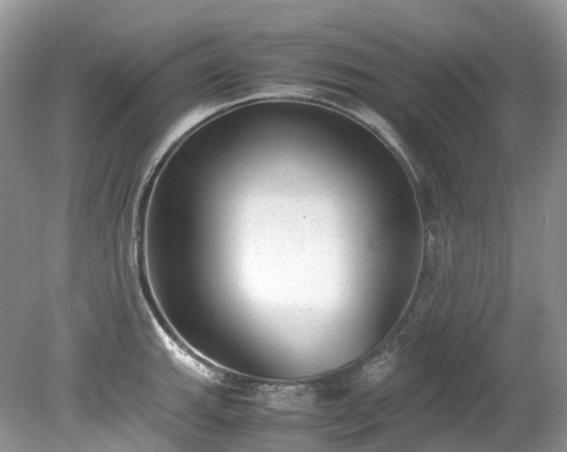 X0000079341143200611251850