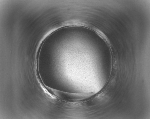X0000079341144200611251850