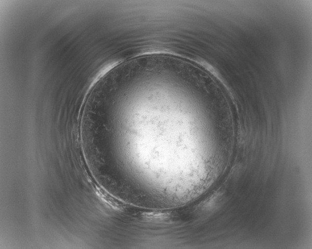 X0000079341145200611251850