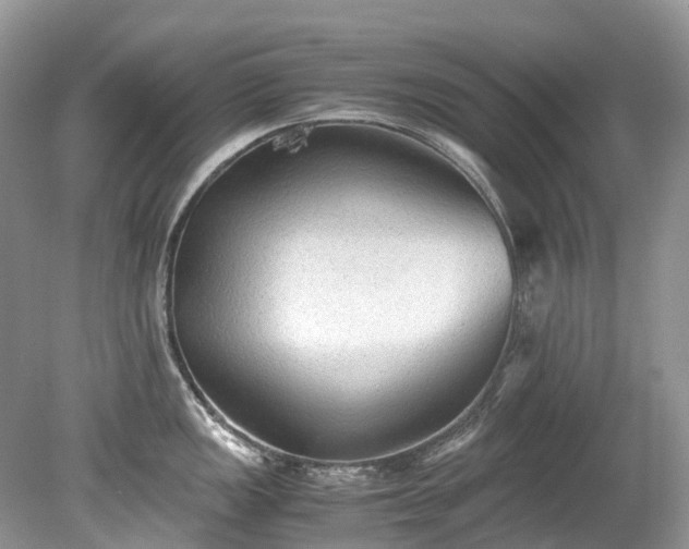 X0000079341149200611251850