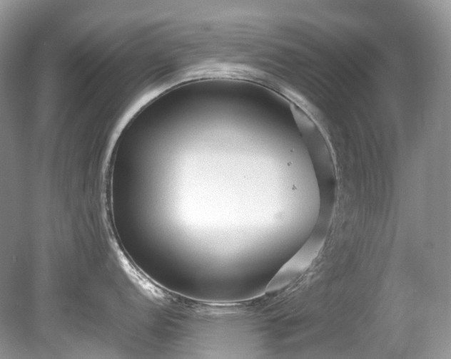 X0000079341152200611251850