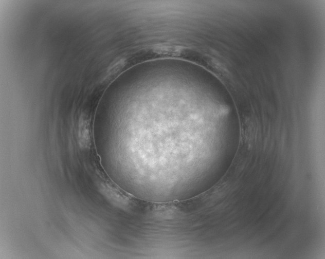 X0000079341154200611251849