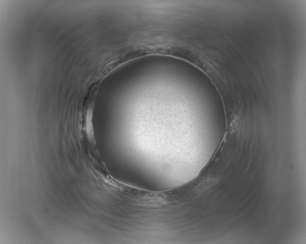 X0000079341156200611251849