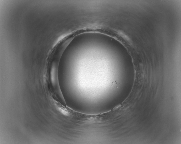 X0000079341160200611251849