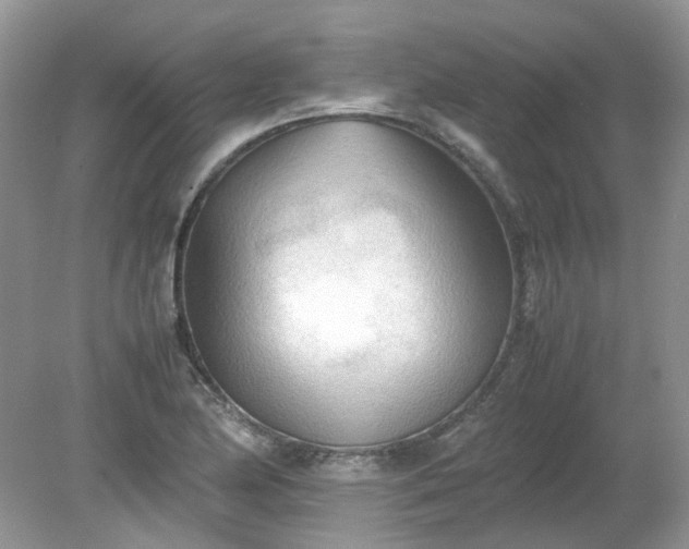 X0000079341174200611251849