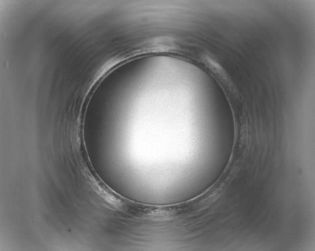 X0000079341178200611251849