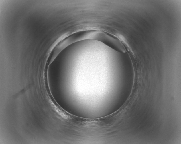 X0000079341181200611251849