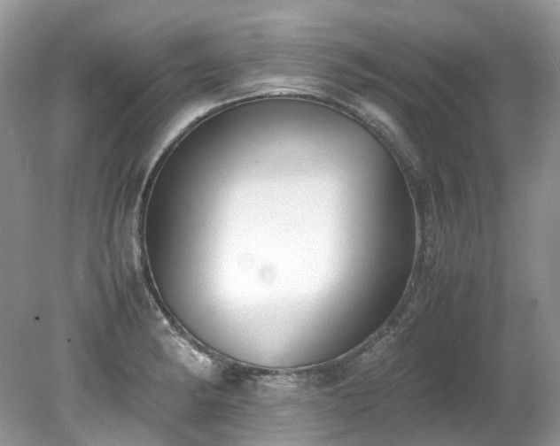 X0000079341182200611251849