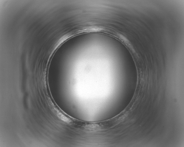 X0000079341186200611251849