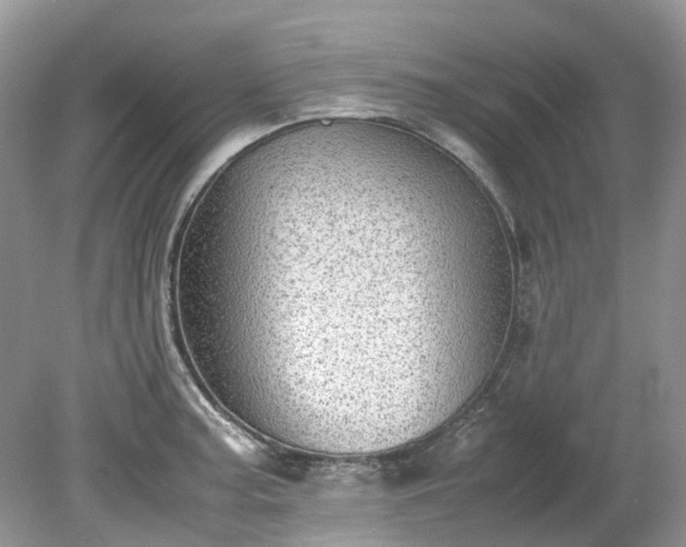 X0000079341187200611251849