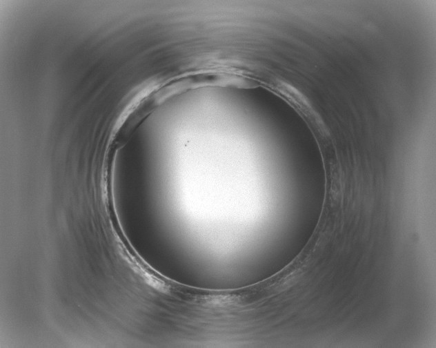 X0000079341188200611251849