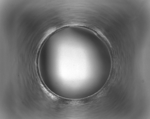 X0000079341189200611251849