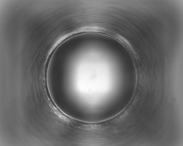 X0000079341192200611251849