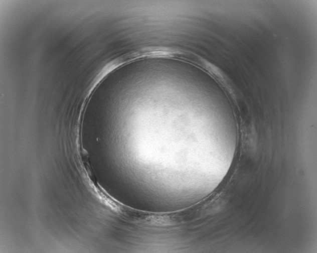 X0000079341194200611251849