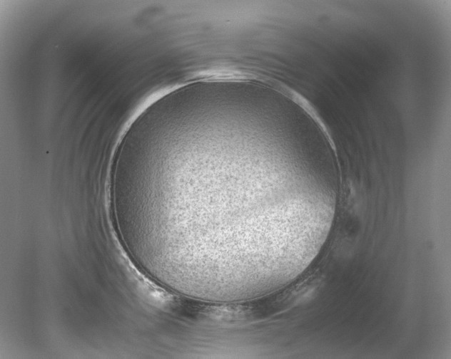 X0000079341195200611251849