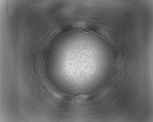 X0000079341201200611251848