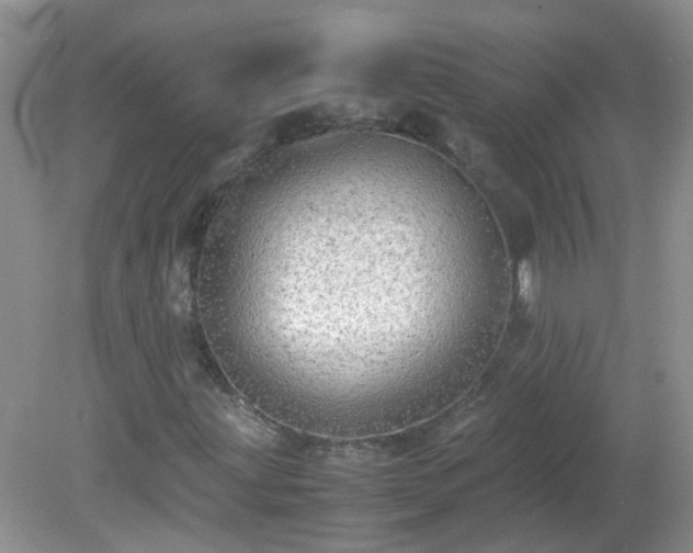 X0000079341203200611251848