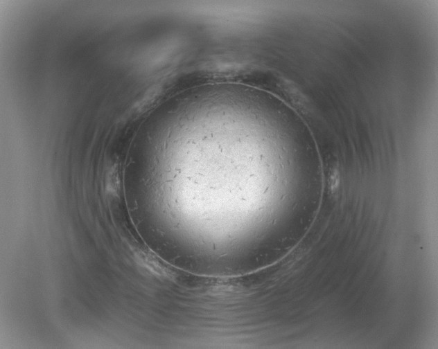 X0000079341204200611251848