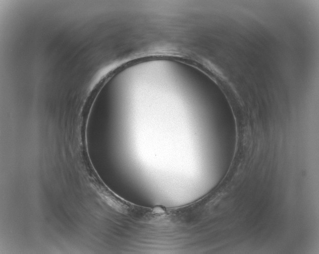X0000079341222200611251848