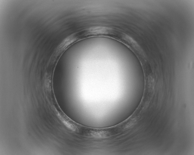 X0000079341225200611251848