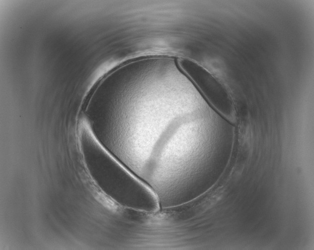 X0000079341230200611251848