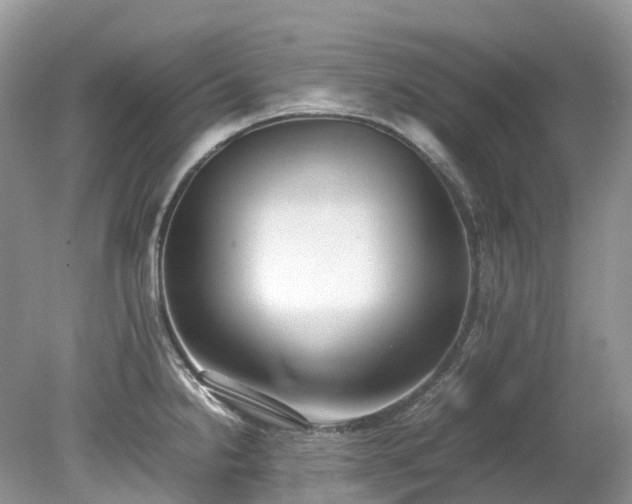X0000079341238200611251848