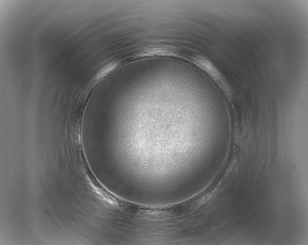 X0000079341241200611251848