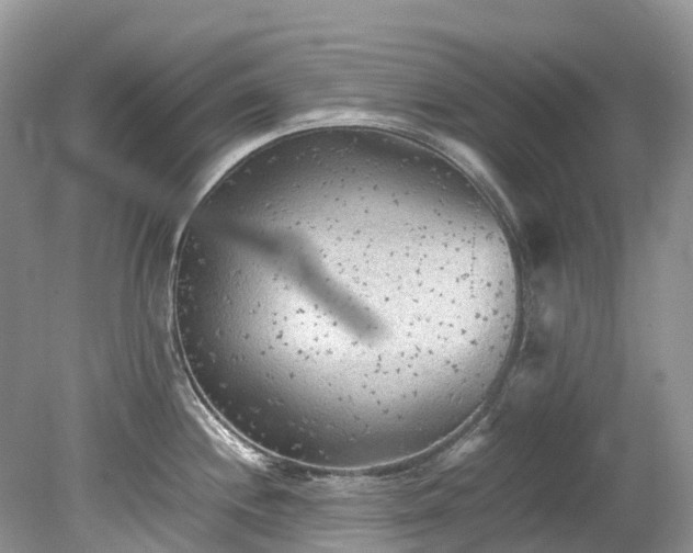 X0000079341244200611251848