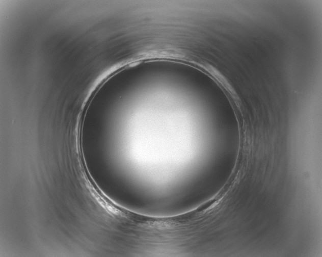 X0000079341246200611251848