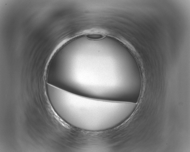 X0000079341248200611251849