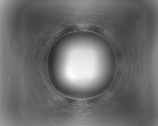 X0000079341249200611251848