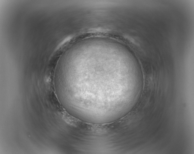 X0000079341254200611251848