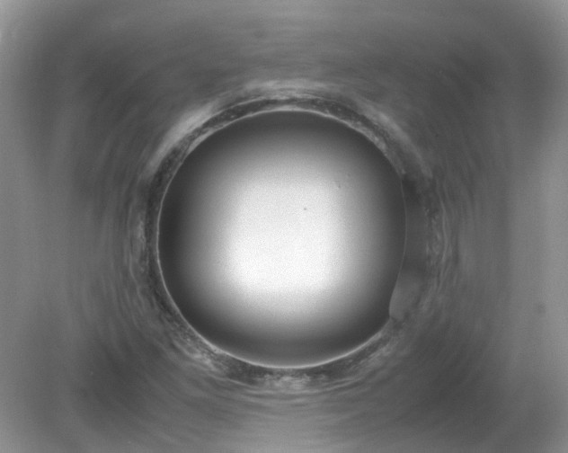 X0000079341261200611251847