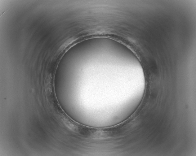 X0000079341265200611251847