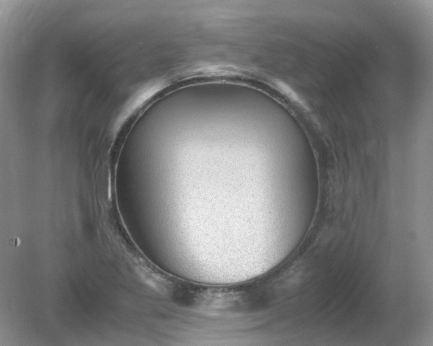 X0000079341269200611251847