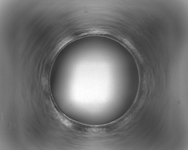 X0000079341281200611251847