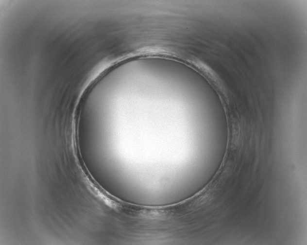 X0000079341286200611251847