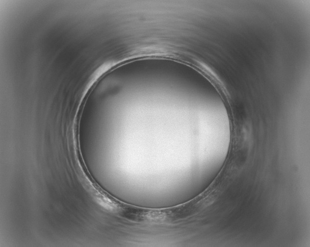 X0000079341291200611251847