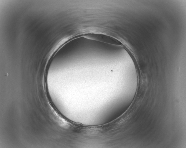X0000079341293200611251847