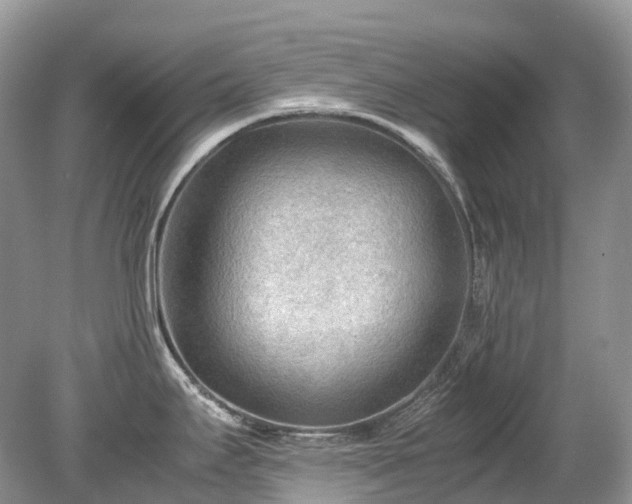 X0000079341295200611251847