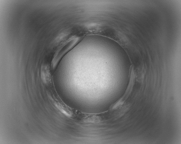 X0000079341298200611251846