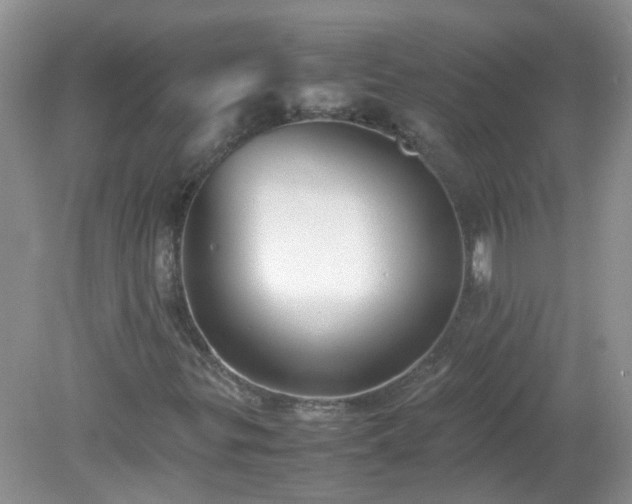 X0000079341299200611251846