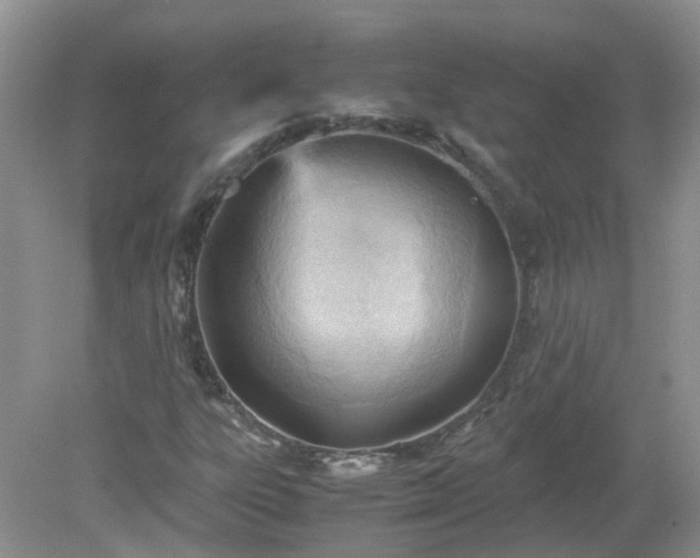 X0000079341303200611251846