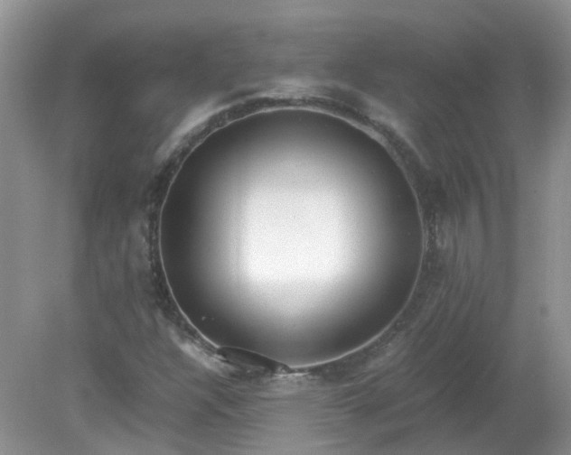 X0000079341304200611251846