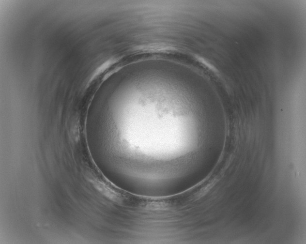 X0000079341306200611251846
