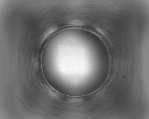 X0000079341307200611251846